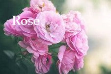 Hug Pulse Point Cream