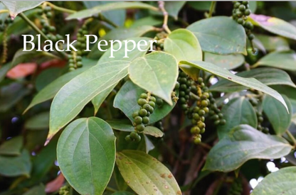 Energise & Courage Gift Set