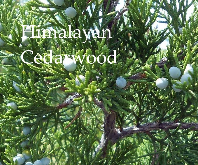 Energise & Courage Gift Set